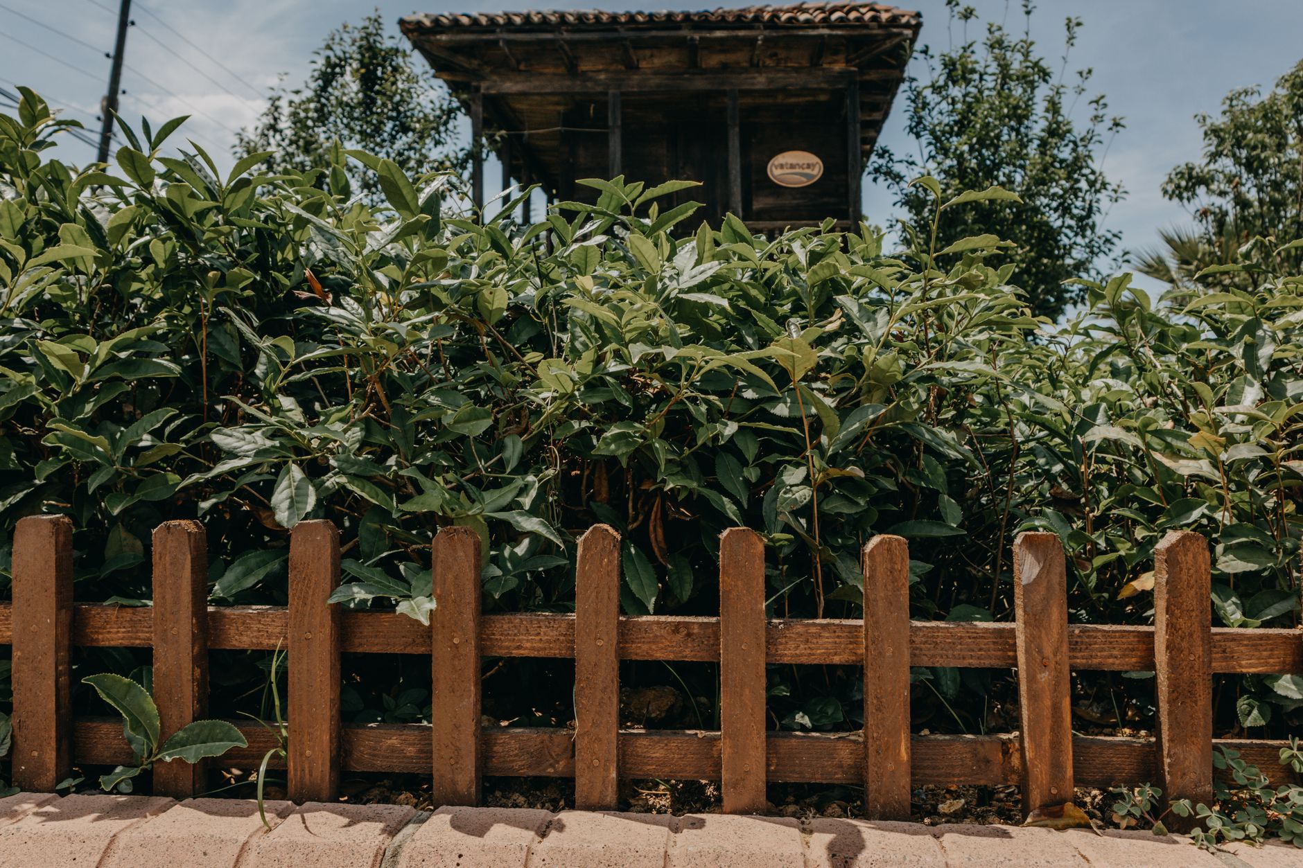 Fence installation Regina