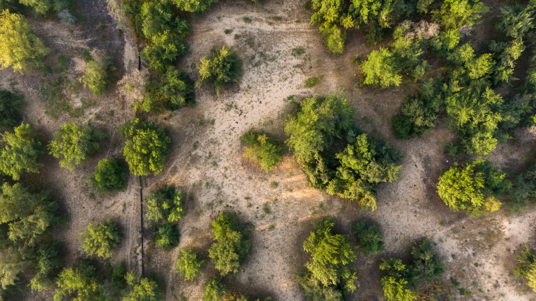 Drone photography events Regina