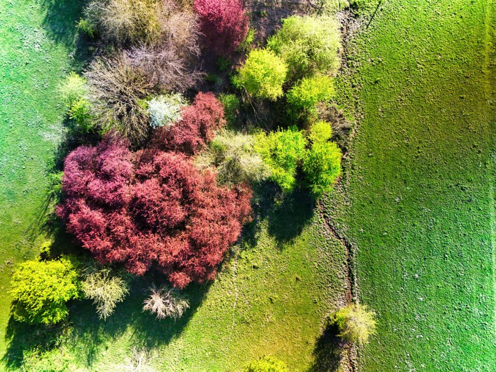 Drone coverage Regina events