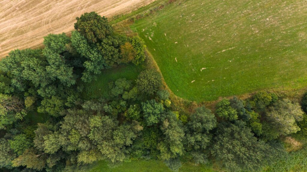 Commercial drone services Regina