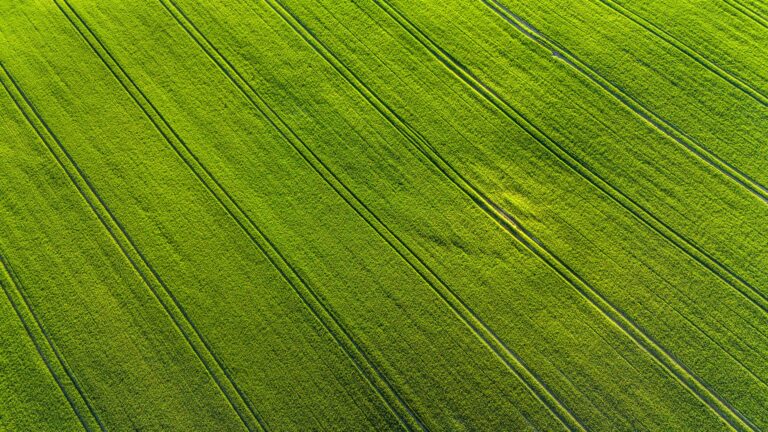 Drone Mapping for Acreages and Farms: What a Survey Flight Delivers